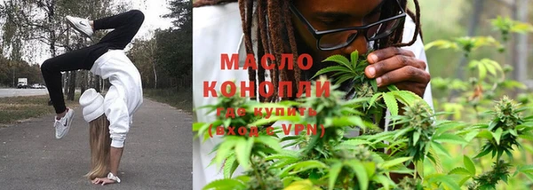 молекула духа Алексин