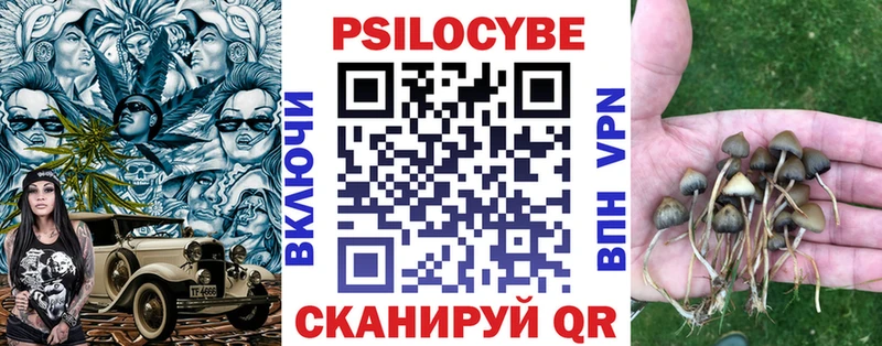 mega как войти  Истра  Галлюциногенные грибы MAGIC MUSHROOMS 