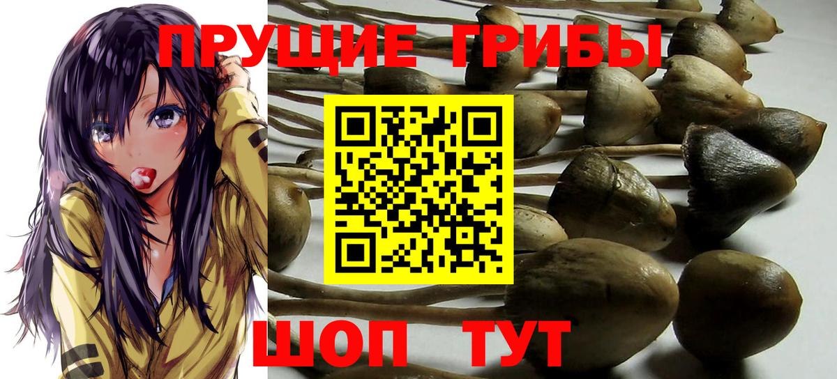 Галлюциногенные грибы мицелий Истра